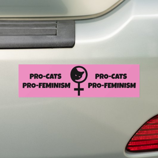 Pro Cats Pro Feminism Bumpersticker (Op auto)