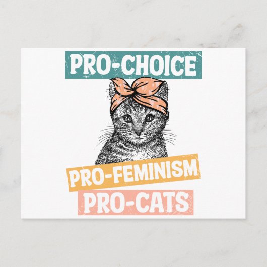 Pro Choice Pro Feminisme Pro Cats Briefkaart (Voorkant)