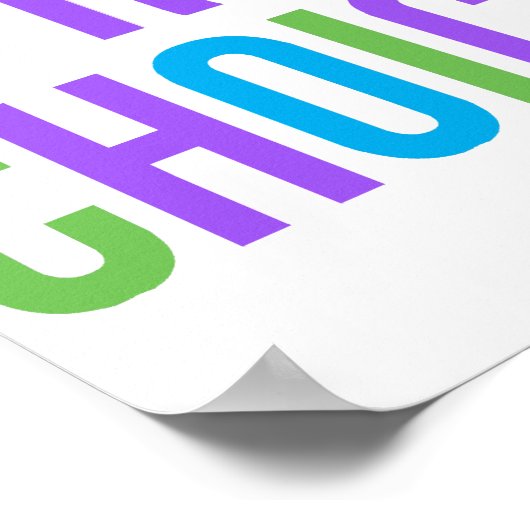 Pro-Choice Roe/Wade Feminist Women's Rights Poster (Hoek)