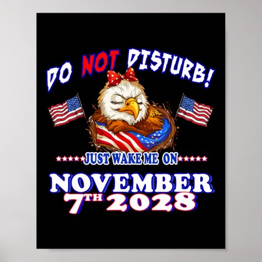 Pro Democratie Vierde Juli 4e Sarcastische Verkiez Poster (Voorkant)