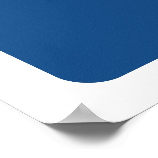 Pro Gamer Video Game Poster - Controller Geek (Hoek)