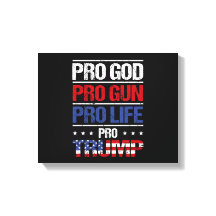 Pro God Pro Pistool Pro Life Pro Trump Verkiezing