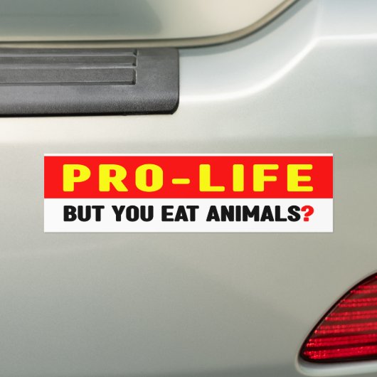 Pro-leven maar eet je dieren?, bumpersticker (Op auto)