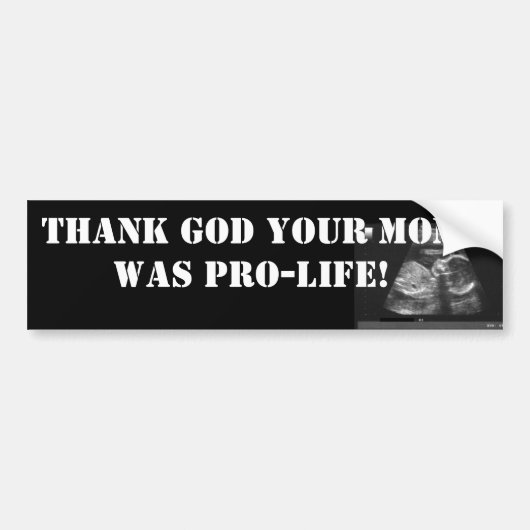 PRO-LIFE BUMPERSTICKER (Voorkant)