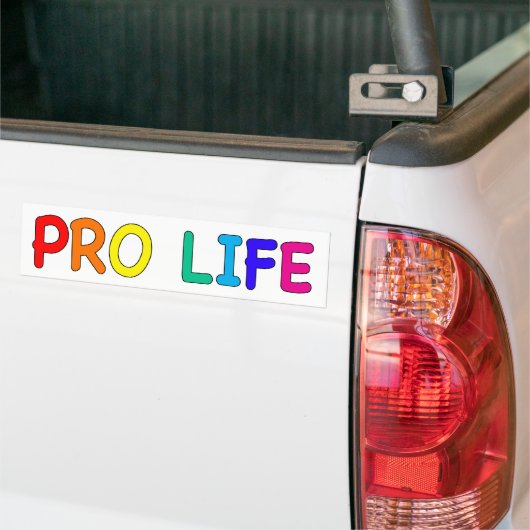 "PRO LIFE" (IN RAINBOW KLEUREN) BUMPERSTICKER (Op Truck)