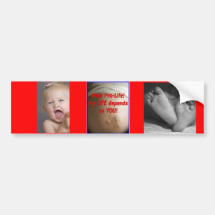 Pro-life sticker