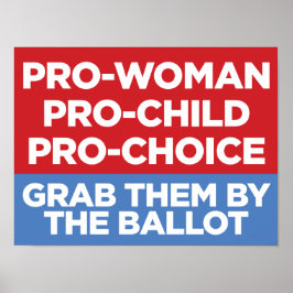 Pro-Woman Pro-Child Poster van het Venster 16x12