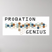 Probation Genius Poster (Voorkant)