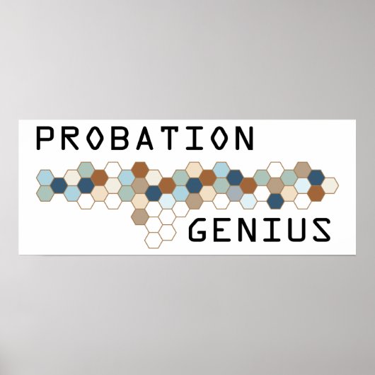 Probation Genius Poster (Voorkant)