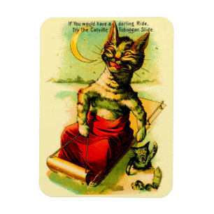 Probeer de Catville Toboggan Slide Magneet