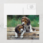 Probeer het één meer tijd… briefkaart (Voorkant / Achterkant)
