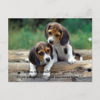 Probeer het één meer tijd… briefkaart