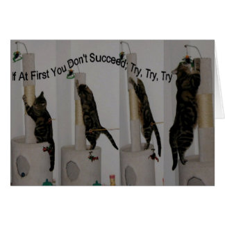 Probeer het maar tot je kunt