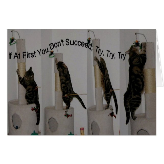 Probeer het maar tot je kunt (Voorkant Horizontaal)