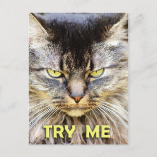 Probeer me! briefkaart