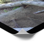 Proberen Poster (Hoek)