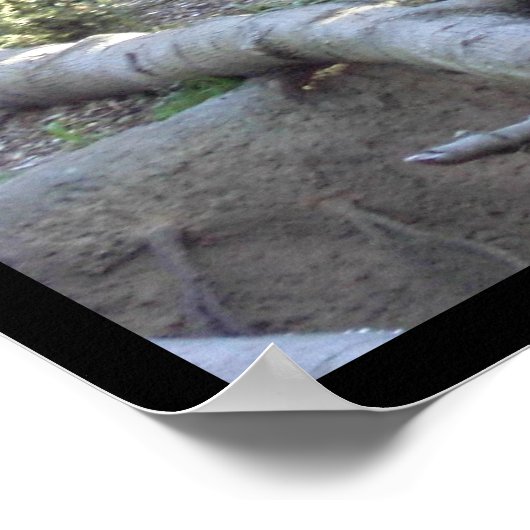 Proberen Poster (Hoek)