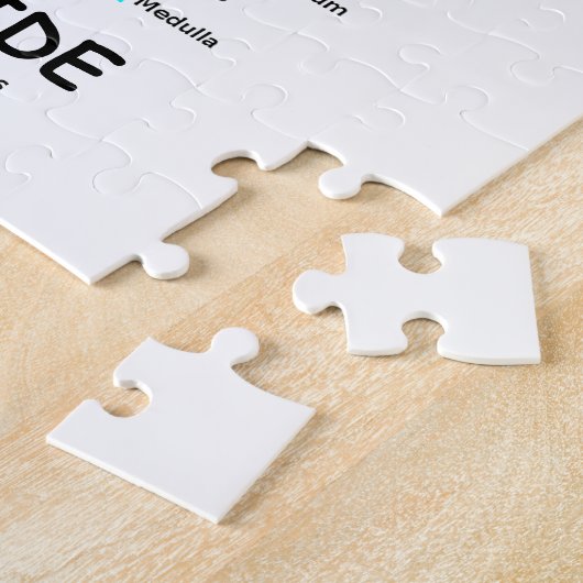 Problematisch brein (hersenanatomie) legpuzzel (Zijkant)