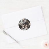 Problemen met de auto ronde sticker (Envelop)