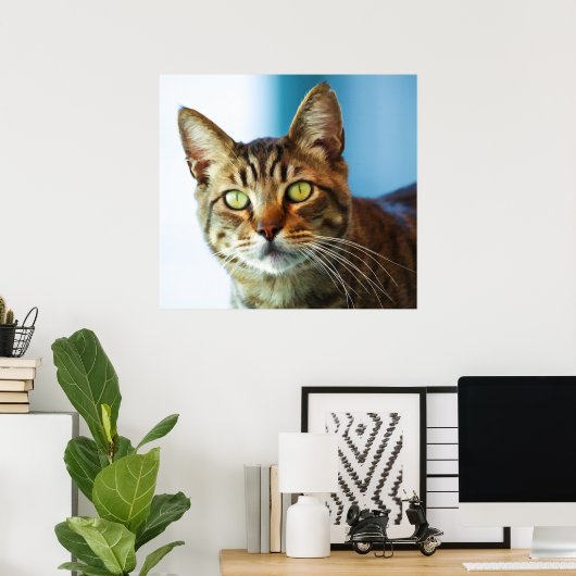 Problemen Poster (Thuiskantoor)