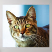 Problemen Poster (Voorkant)