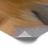 Proboscis Aap Bedreigde Soorten Poster (Hoek)