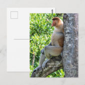 Proboscis Monkey Briefkaart (Voorkant / Achterkant)