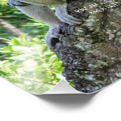 Proboscis Monkey Foto Afdruk (Hoek)