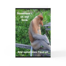 Proboscis Monkey - Gelukkige Verjaardag