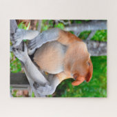 Proboscis Monkey. Jigzaag Puzzle Legpuzzel (Horizontaal)