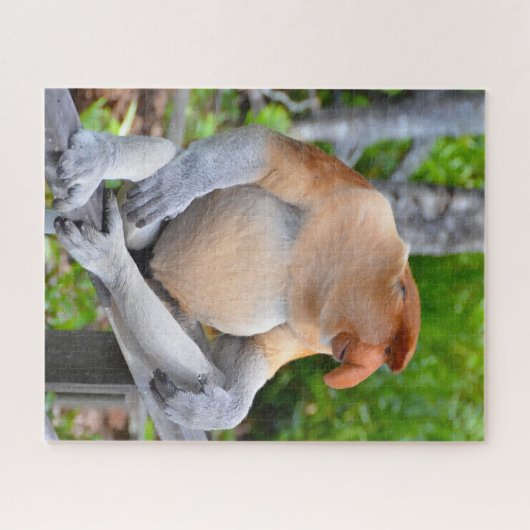 Proboscis Monkey. Jigzaag Puzzle Legpuzzel (Horizontaal)