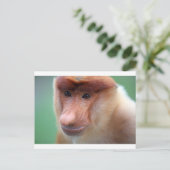 Proboscis monkey Labuk Bay Borneo Briefkaart (Staand voorkant)