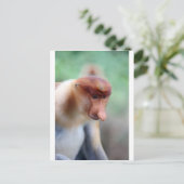 Proboscis monkey Labuk Bay Borneo Briefkaart (Staand voorkant)
