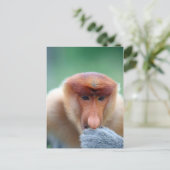 Proboscis Monkey op Borneo. Briefkaart (Staand voorkant)