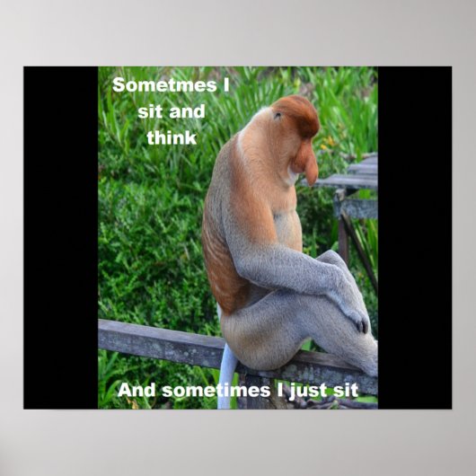 Proboscis Monkey - Soms ga ik zitten en denk ik Poster (Voorkant)