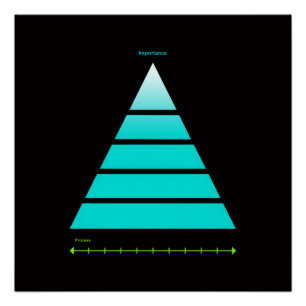 Procesbelang Perfect Poster