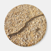 Processionaire pijlers Magnet (Voorkant)