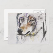 Processo Al Lupo Briefkaart (Voorkant / Achterkant)