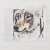 Processo Al Lupo Briefkaart (Voorkant)