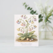 Procrastina indecisa De Onbesliste Uitsteler Briefkaart (Staand voorkant)