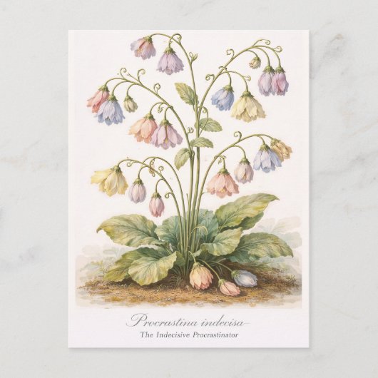 Procrastina indecisa De Onbesliste Uitsteler Briefkaart (Voorkant)