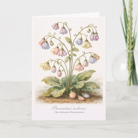 Procrastina indecisa De Onbesliste Uitsteller Kaart (Voorkant)