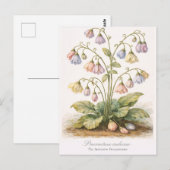 Procrastina indecisa The Indecisive Procrastinator Briefkaart (Voorkant / Achterkant)