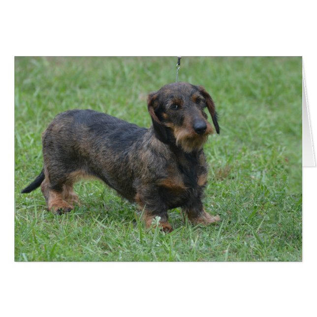 Product aanpassen (Voorkant Horizontaal)