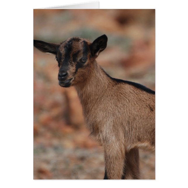 Product aanpassen (Voorkant)