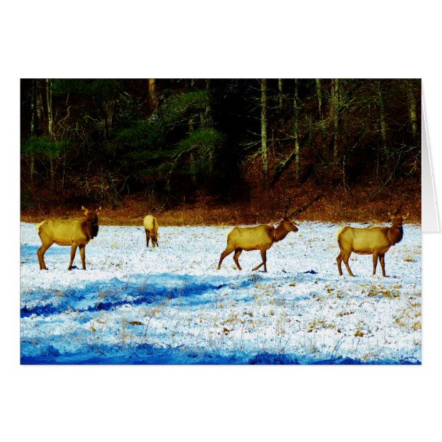 Product aanpassen (Voorkant Horizontaal)