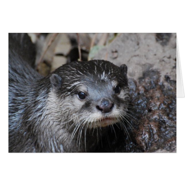 Product aanpassen (Voorkant Horizontaal)