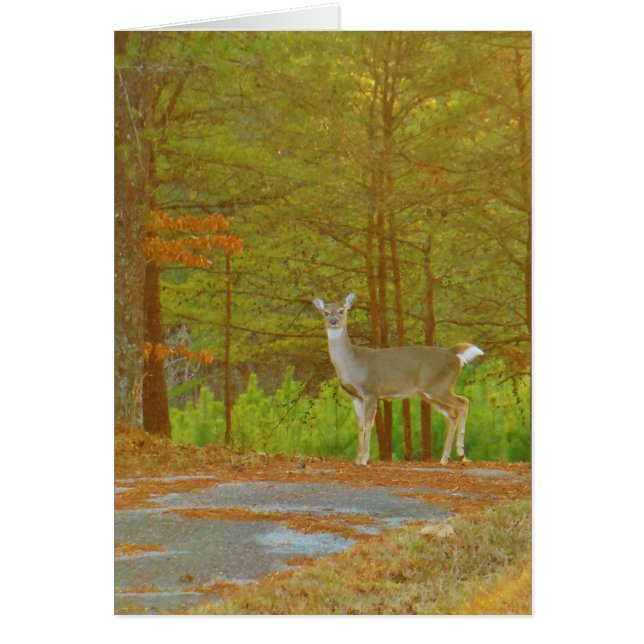 Product aanpassen (Voorkant)