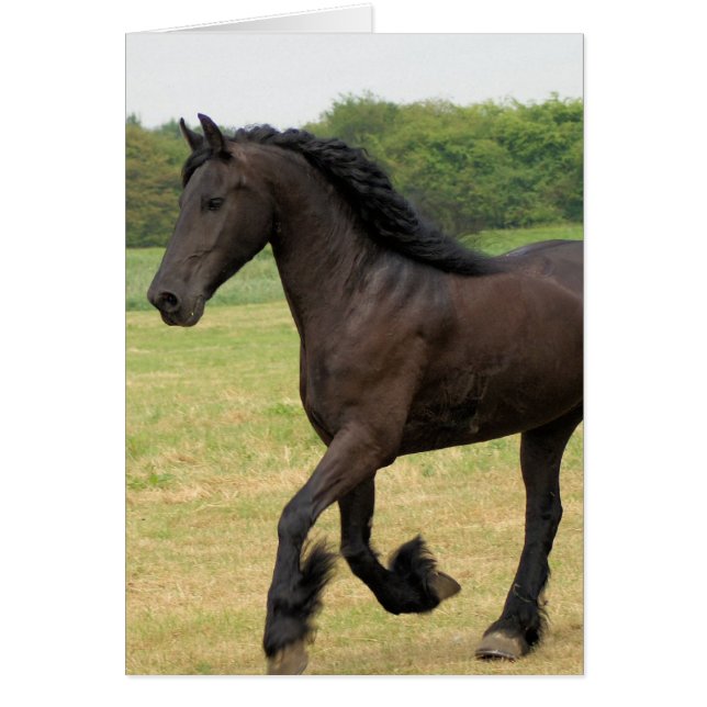 Product aanpassen (Voorkant)