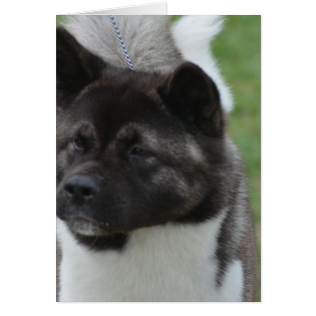 Product aanpassen (Voorkant)